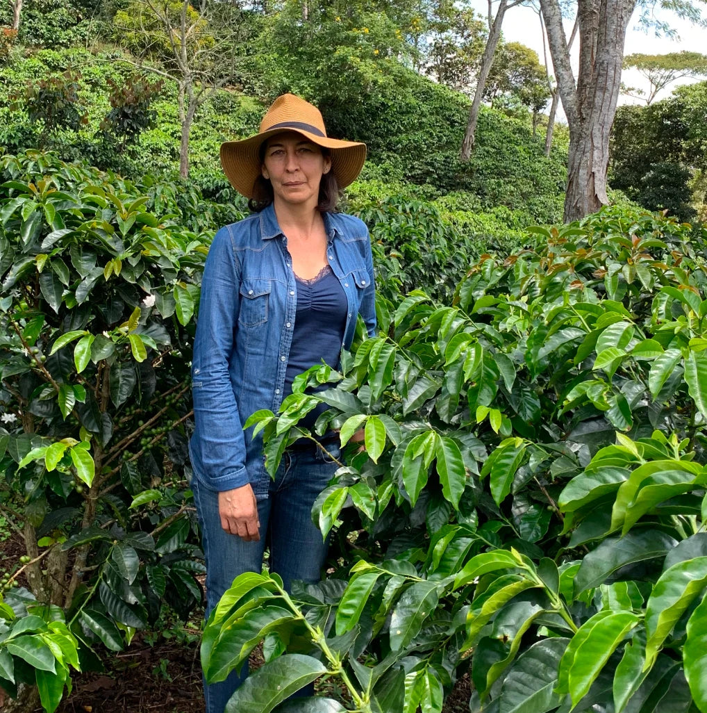 Decaf Popayan